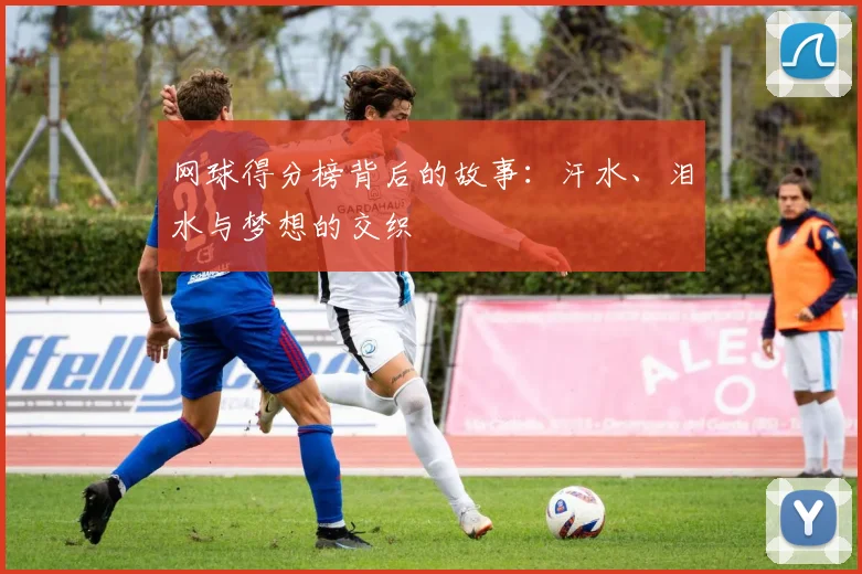 网球得分榜背后的故事：汗水、泪水与梦想的交织
